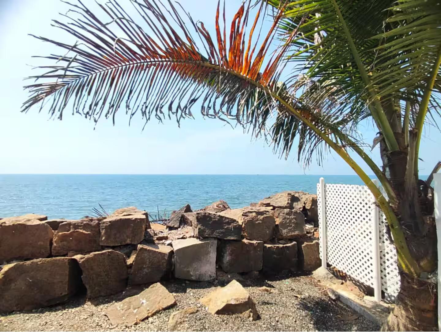 Casa Del Mar x Solis Nature