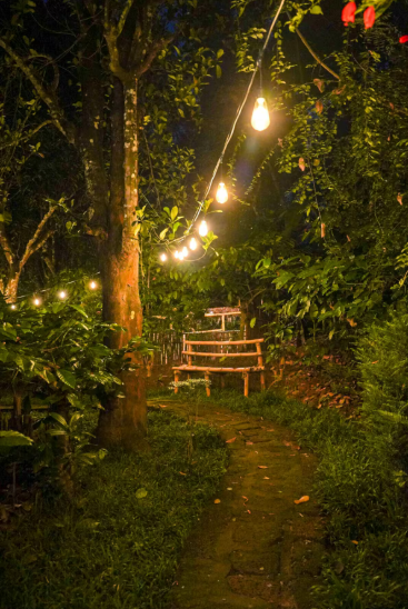 Charming A-Frame cabin in Wayanad x Solis Nature