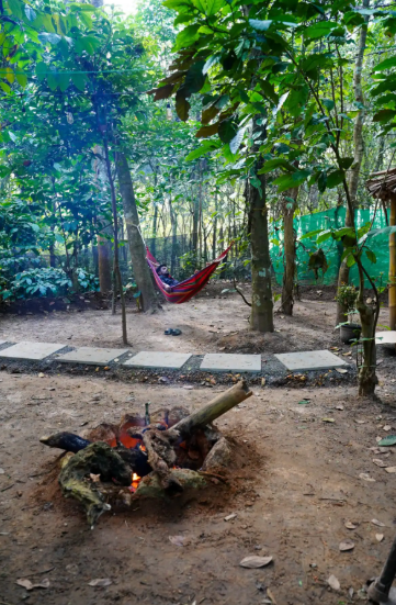 Charming A-Frame cabin in Wayanad x Solis Nature