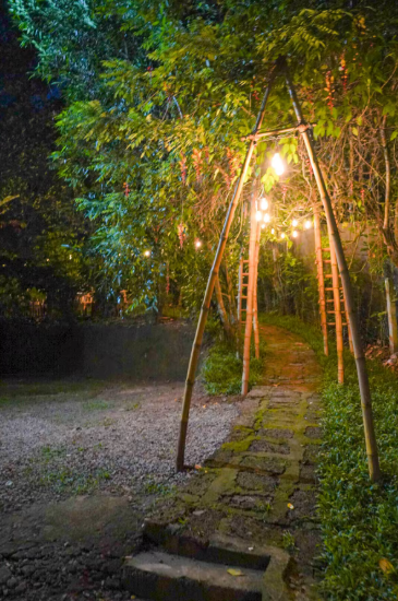 Charming A-Frame cabin in Wayanad x Solis Nature