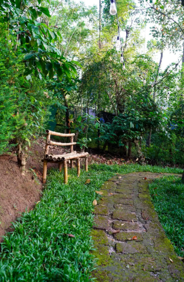 Charming A-Frame cabin in Wayanad x Solis Nature