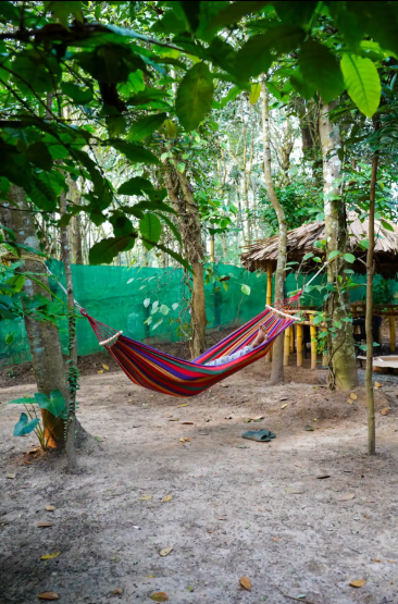 Charming A-Frame cabin in Wayanad x Solis Nature