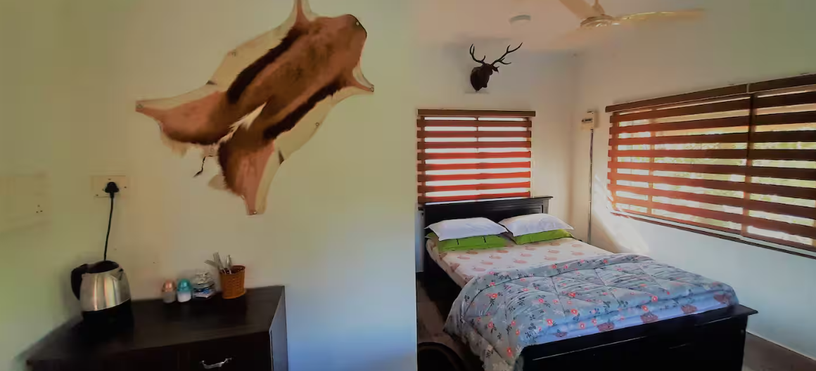 Noah's Nest Treehouse x Solis Nature