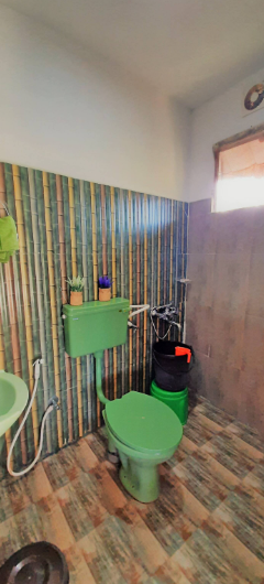 Noah's Nest Treehouse x Solis Nature