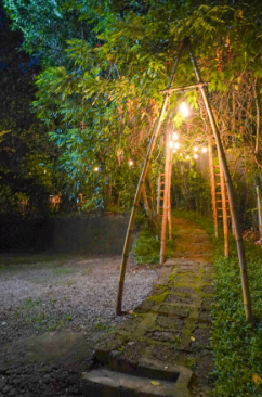 Serene Getaway in Wayanad –2-Bedrooom x Solis Nature