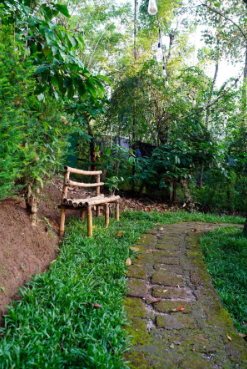 Serene Getaway in Wayanad –2-Bedrooom x Solis Nature