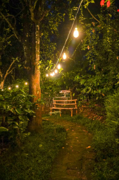 Peaceful Room w/ Pool & Stunning Wayanad x Solis Nature