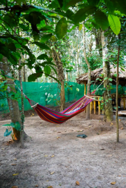 Peaceful Room w/ Pool & Stunning Wayanad x Solis Nature
