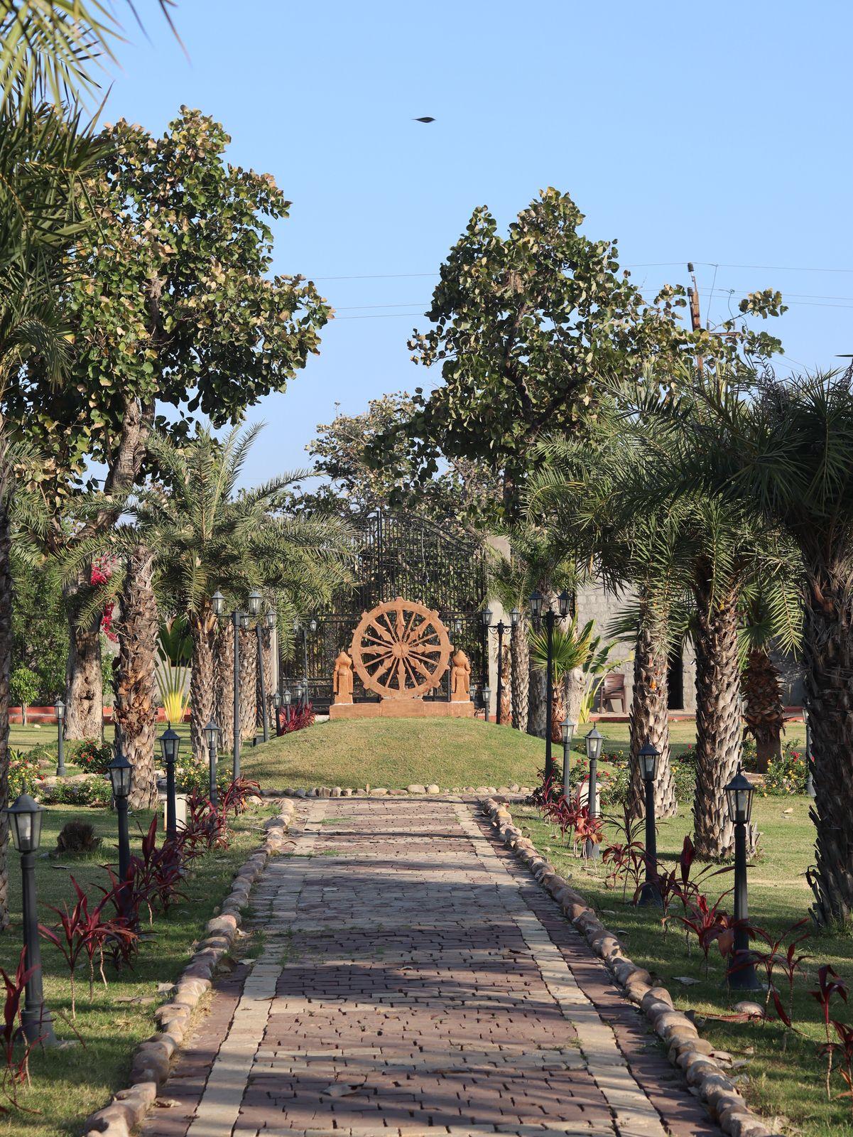 Narwal Lakefront Resort x Solis Nature