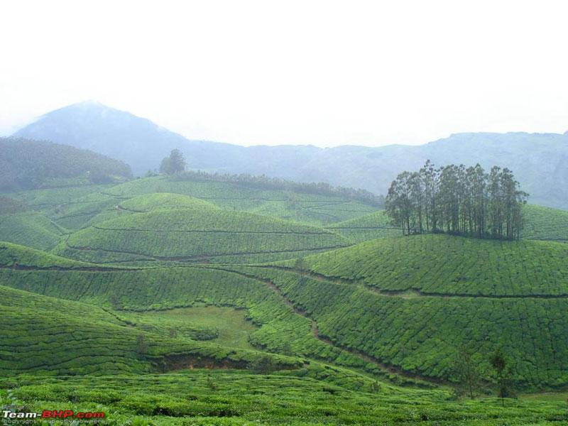 The Munnar Queen Resort x Solis Nature