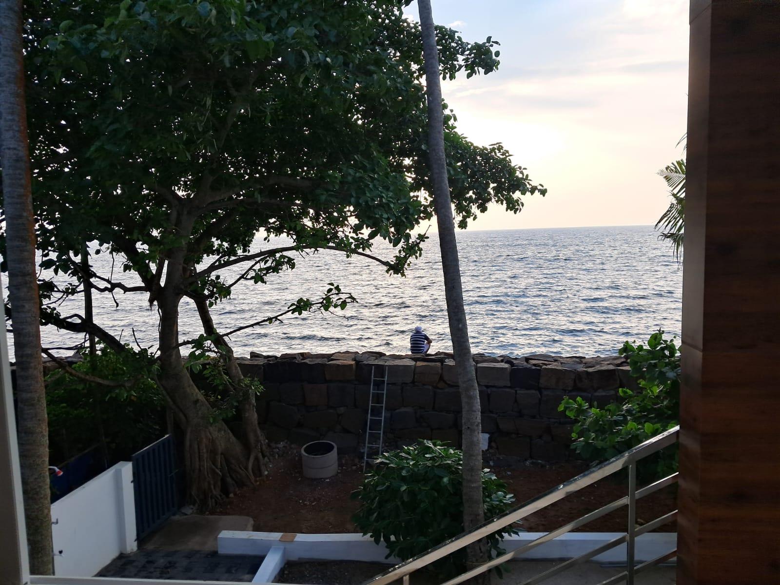 Sea Breeze Gold Room x Solis Nature