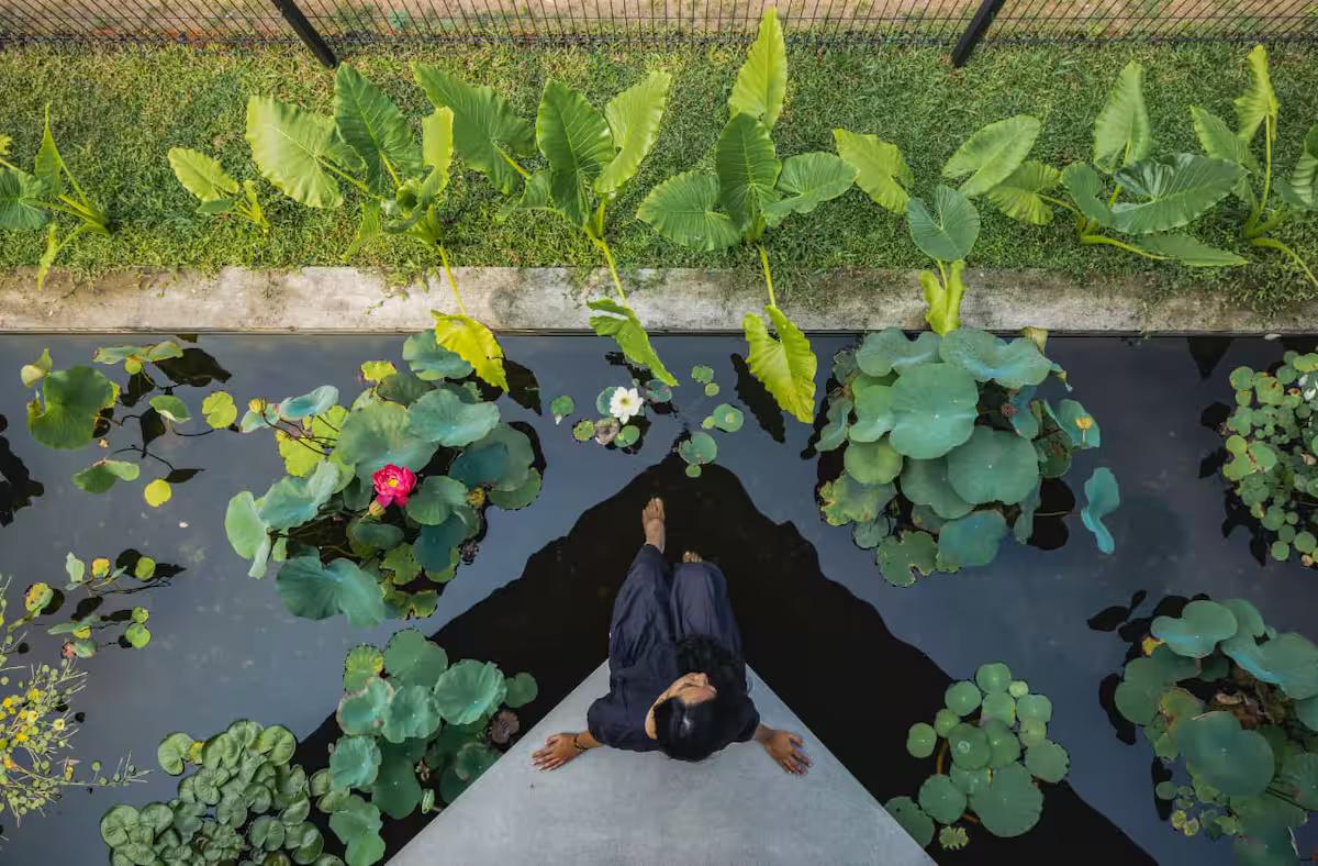 Bimal's Casa De Papel x Solis Nature