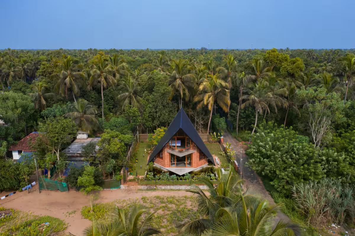 Bimal's Casa De Papel x Solis Nature