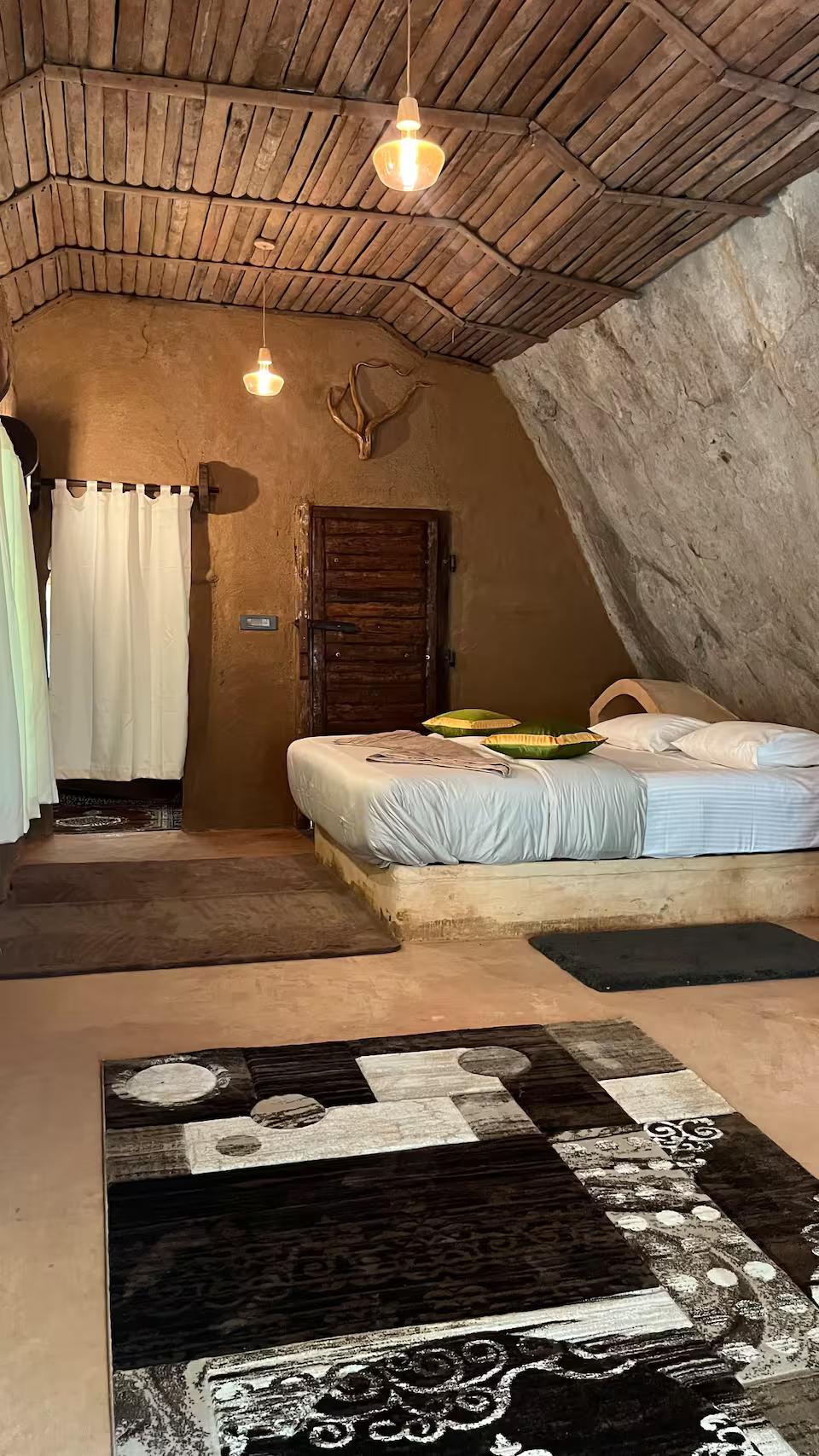 The Wild Mysteries x Solis Nature