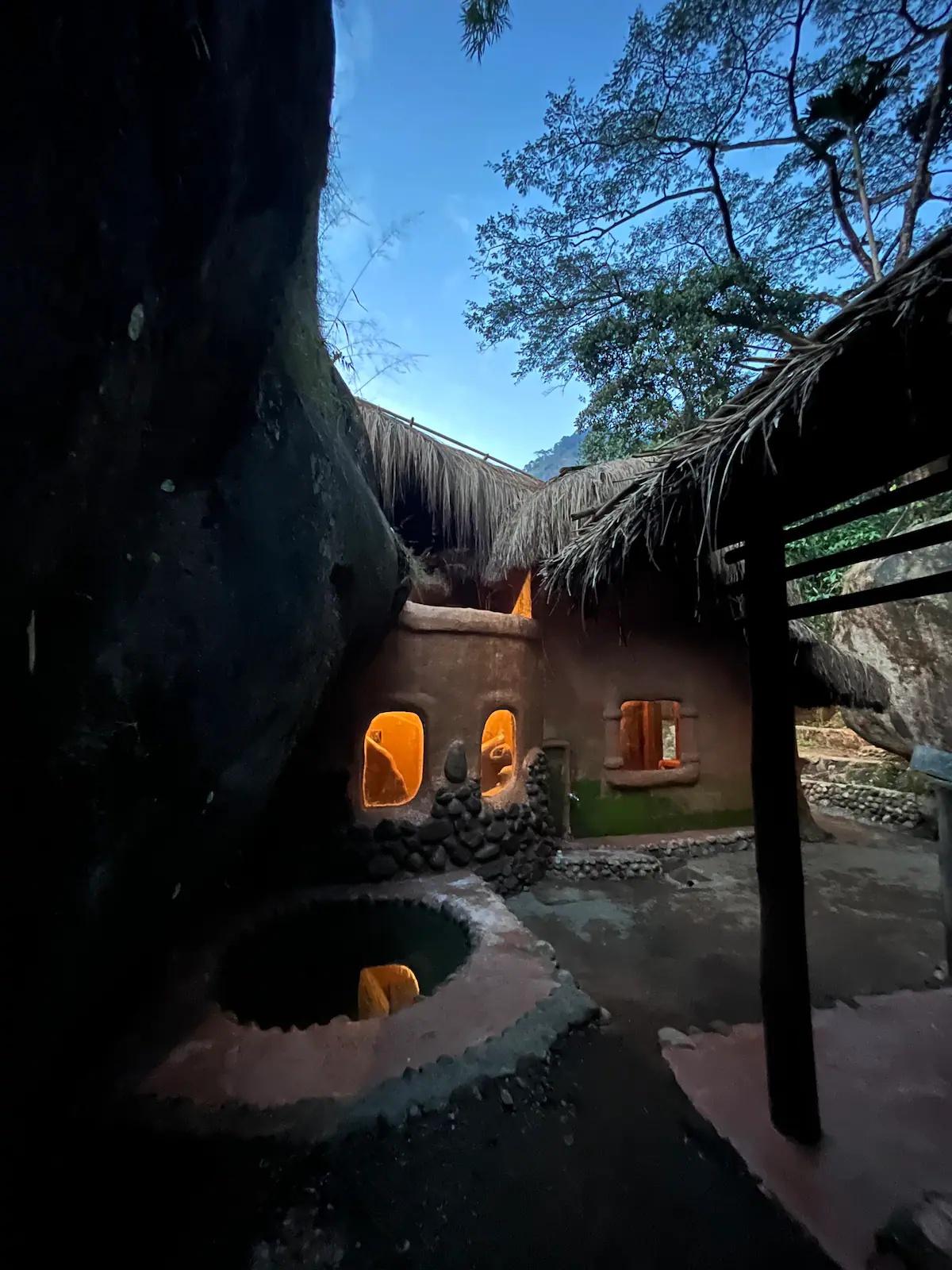 The Wild Mysteries x Solis Nature