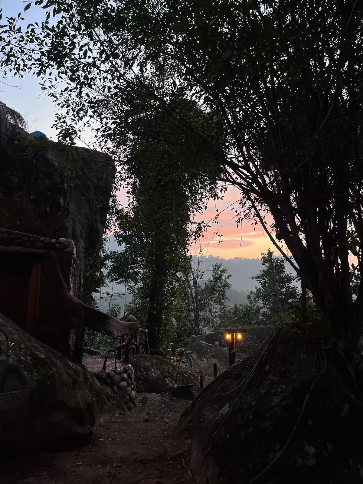 The Wild Mysteries x Solis Nature