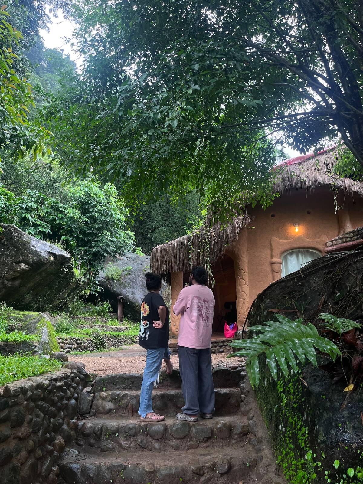 The Wild Mysteries x Solis Nature