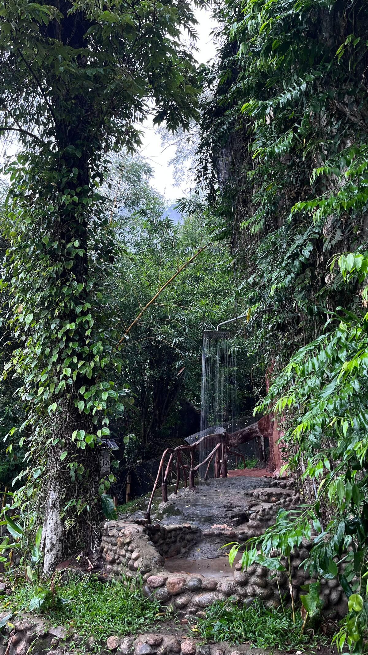 The Wild Mysteries x Solis Nature