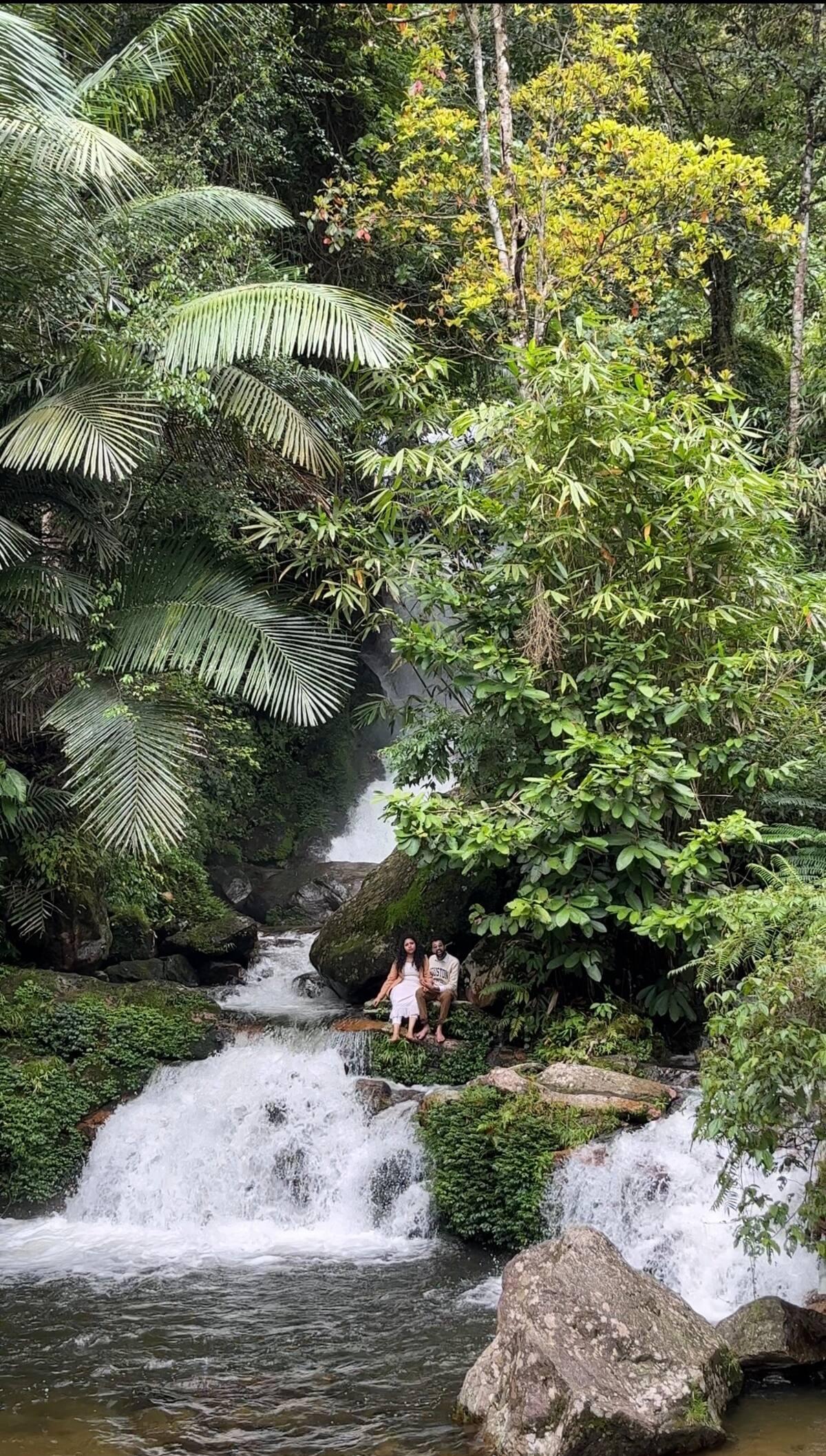 The Wild Mysteries x Solis Nature