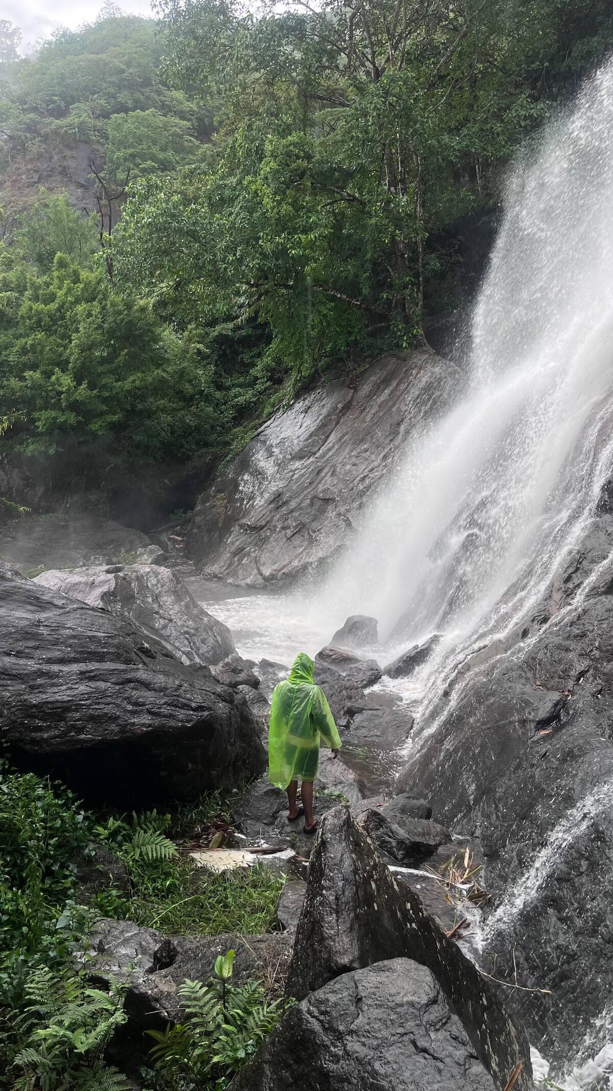 The Wild Mysteries x Solis Nature