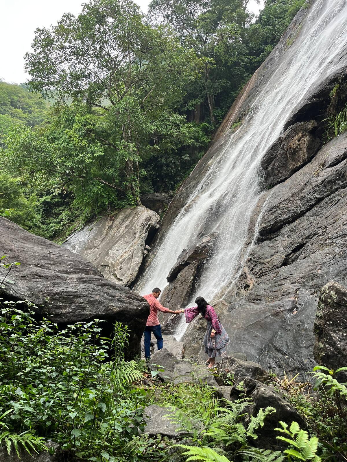 The Wild Mysteries x Solis Nature