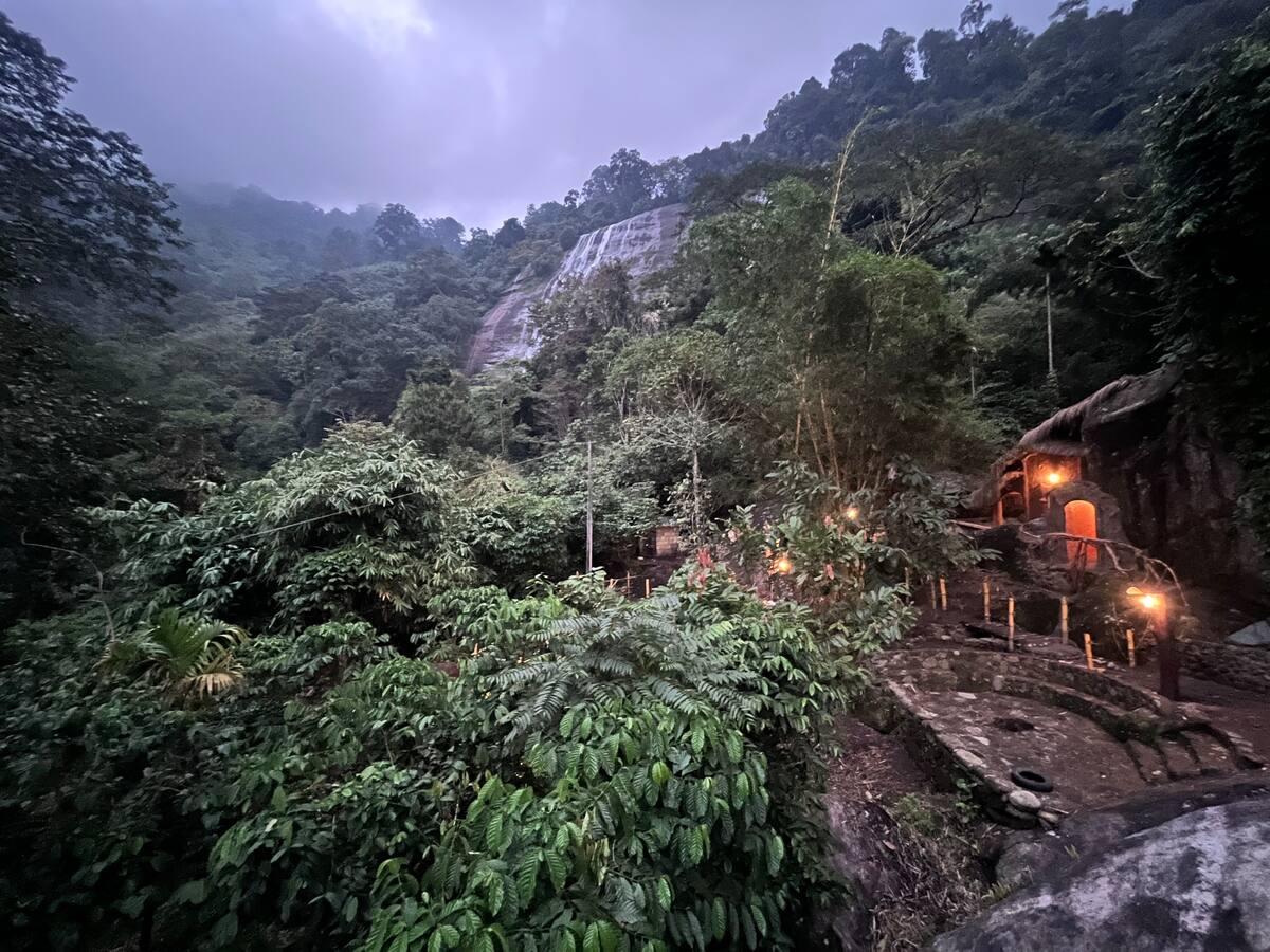 The Wild Mysteries x Solis Nature