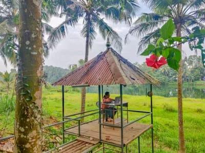 Pranayakulam Homestay x Solis Nature