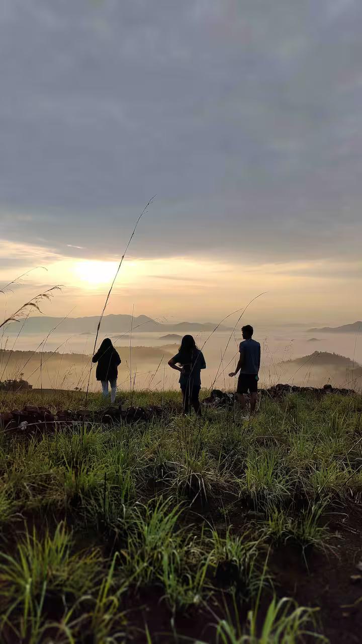 Thumpayil Hills Plantation Homestay x Solis Nature