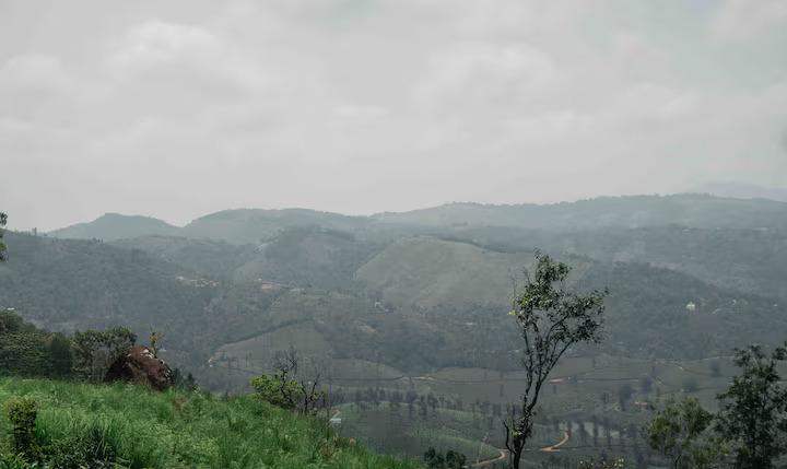 Thumpayil Hills Plantation Homestay x Solis Nature