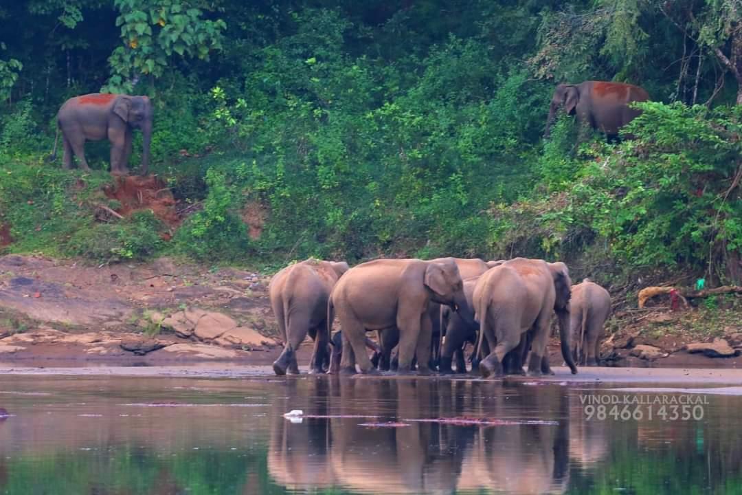 Munkudil Ayurveda Yoga Retreat x Solis Nature