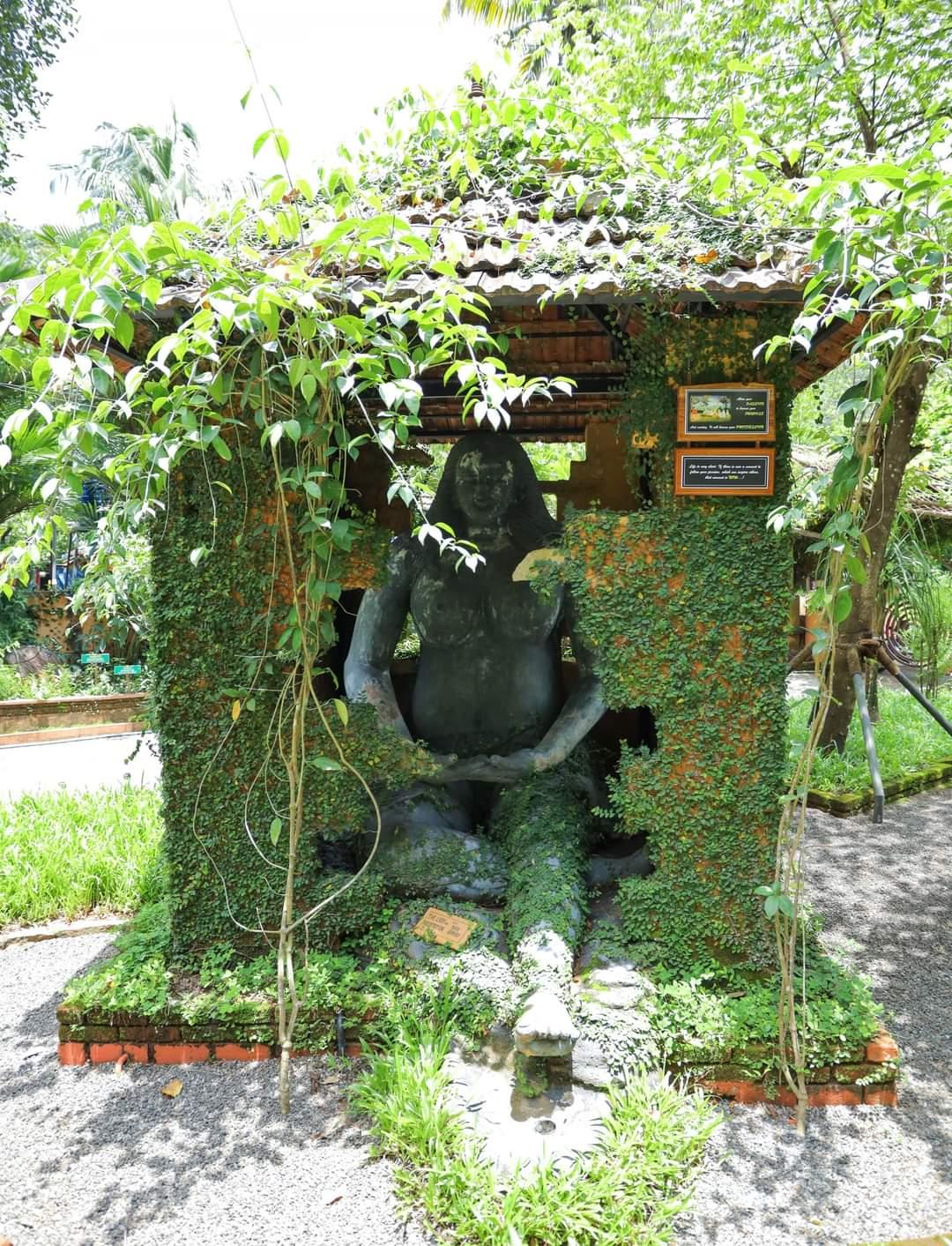 Munkudil Ayurveda Yoga Retreat x Solis Nature