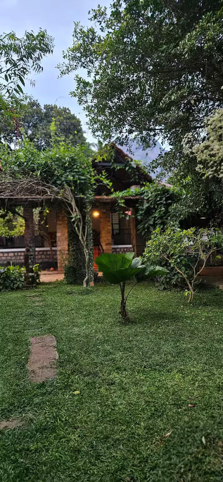 Pannadikadu Ranch House x Solis Nature
