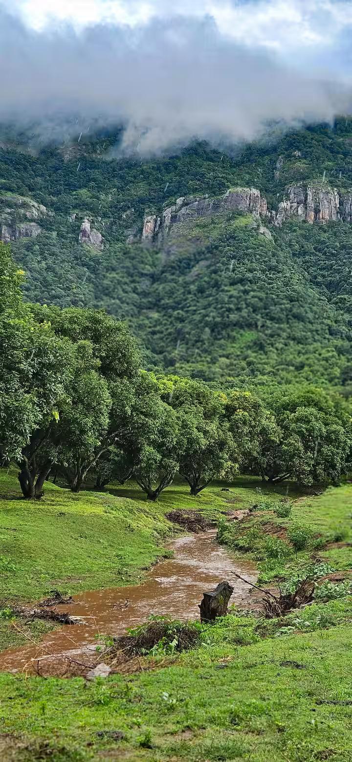 Pannadikadu Ranch House x Solis Nature