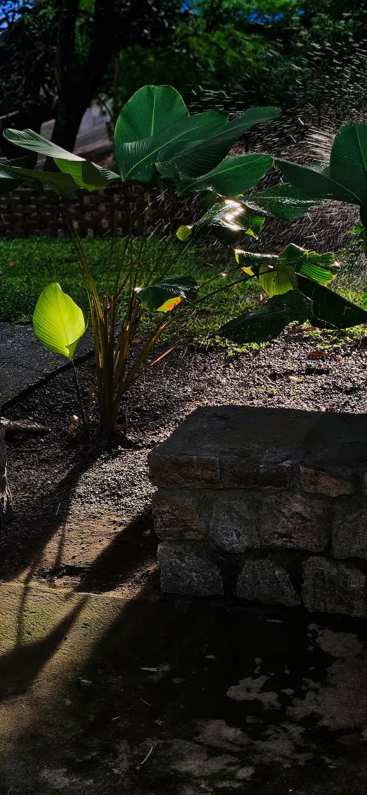 Pannadikadu Ranch House x Solis Nature