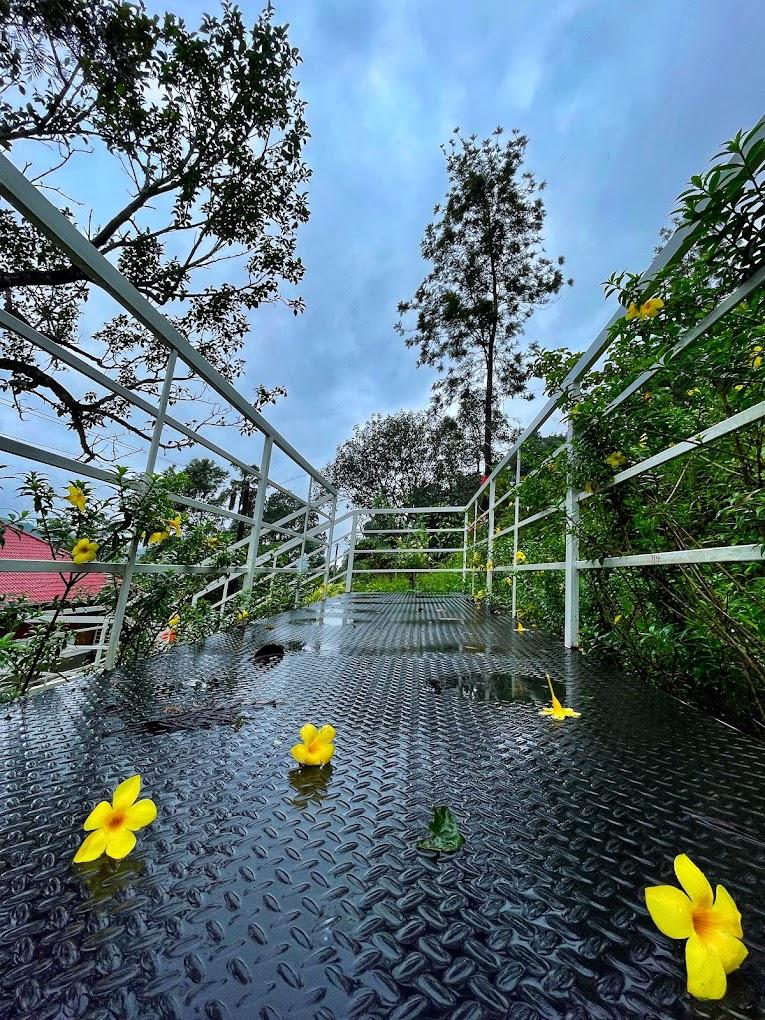 Dome stays with Lovely Nature Glamping x Solis Nature