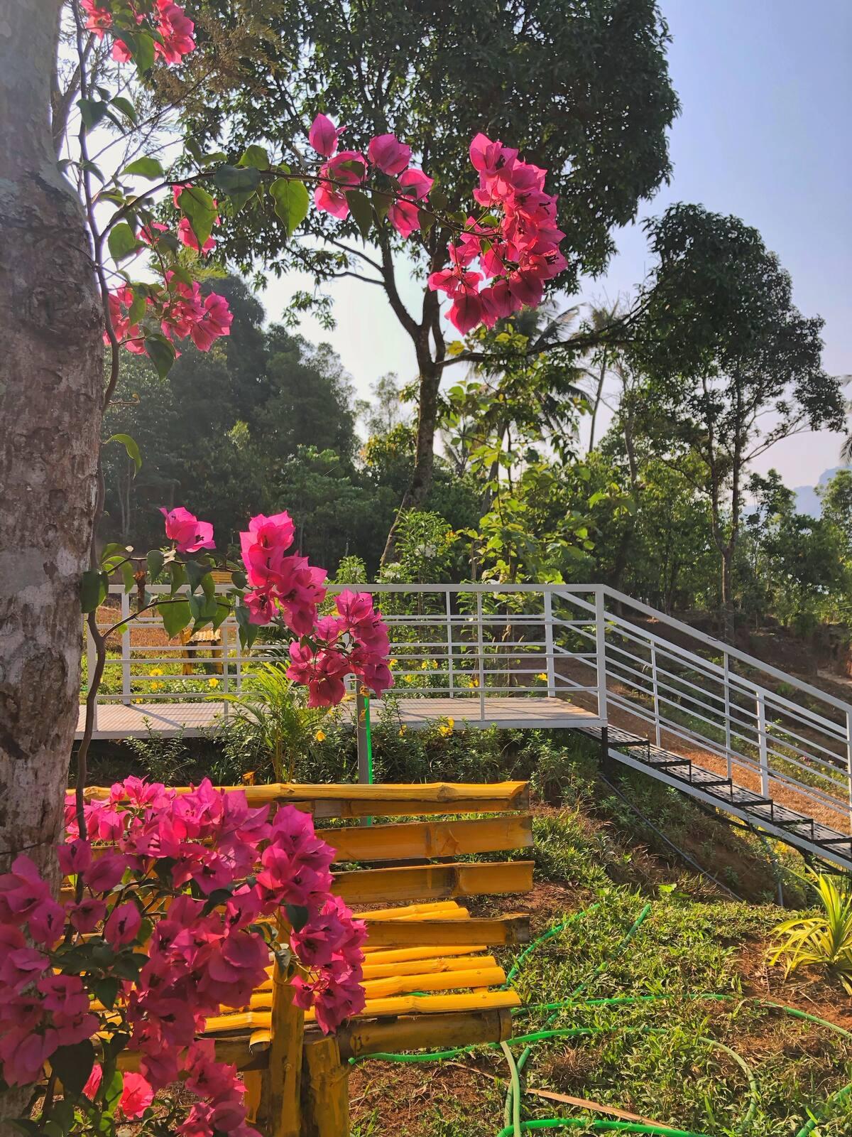 Dome stays with Lovely Nature Glamping x Solis Nature