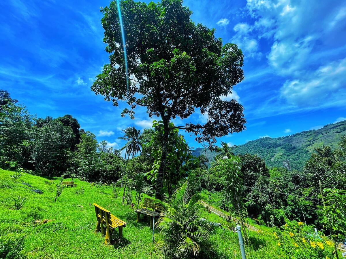 Dome stays with Lovely Nature Glamping x Solis Nature