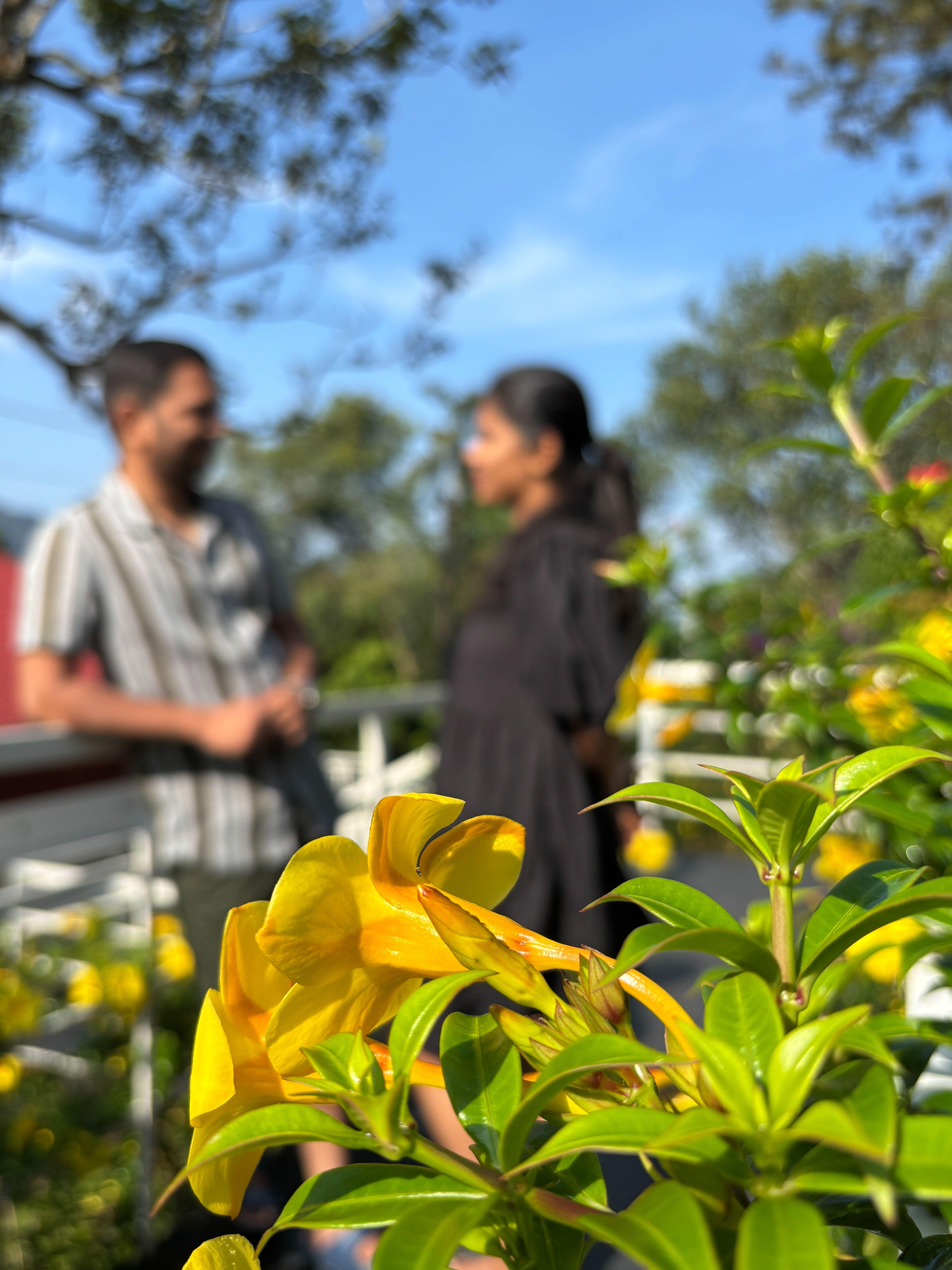 Farmvilla by Lovely nature glamping x Solis Nature