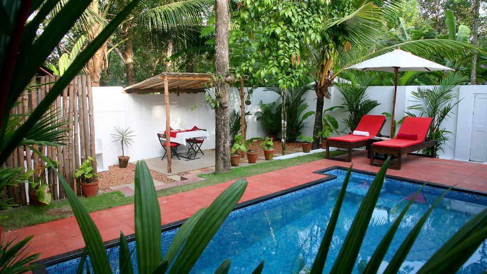 ORCHID VILLA x Solis Nature