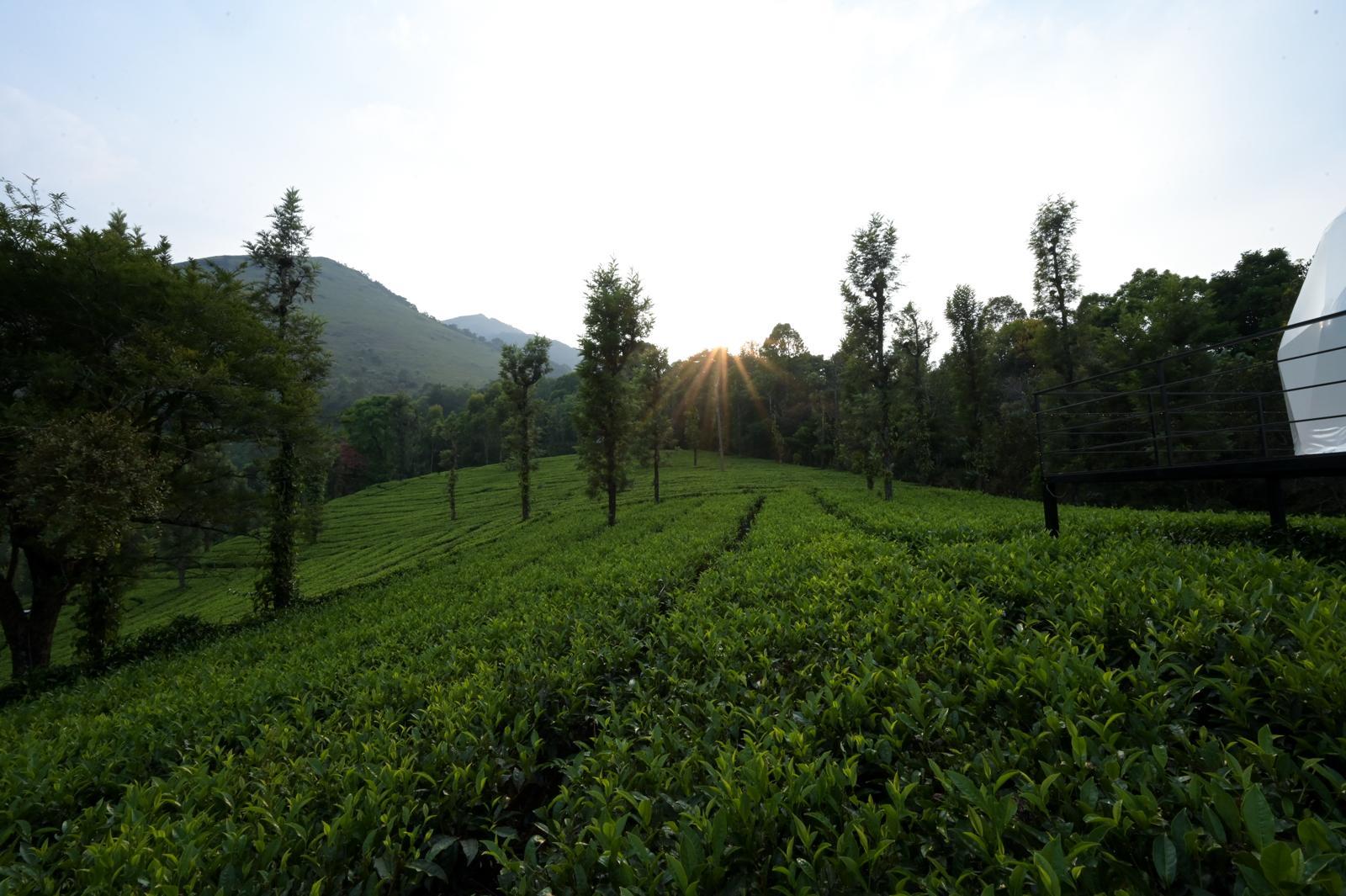 Vythiri Tea Valley  Domes & Tenting 2 x Solis Nature