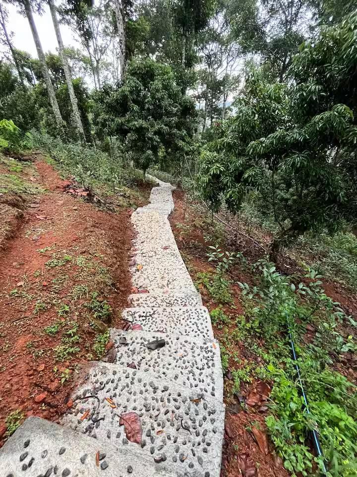 Swastham Estate Bunglow x Solis Nature