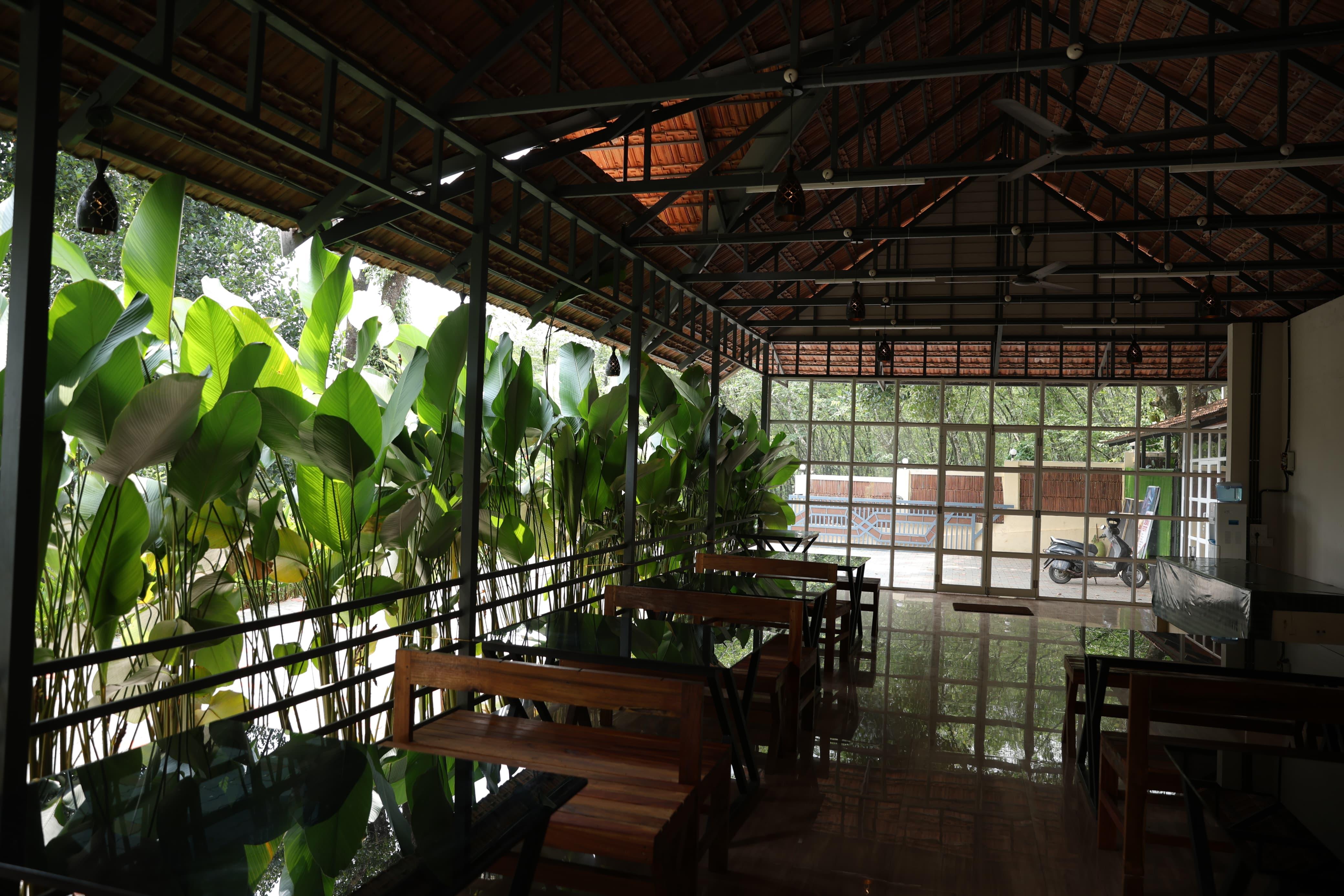 Nature Cascade Resort x Solis Nature