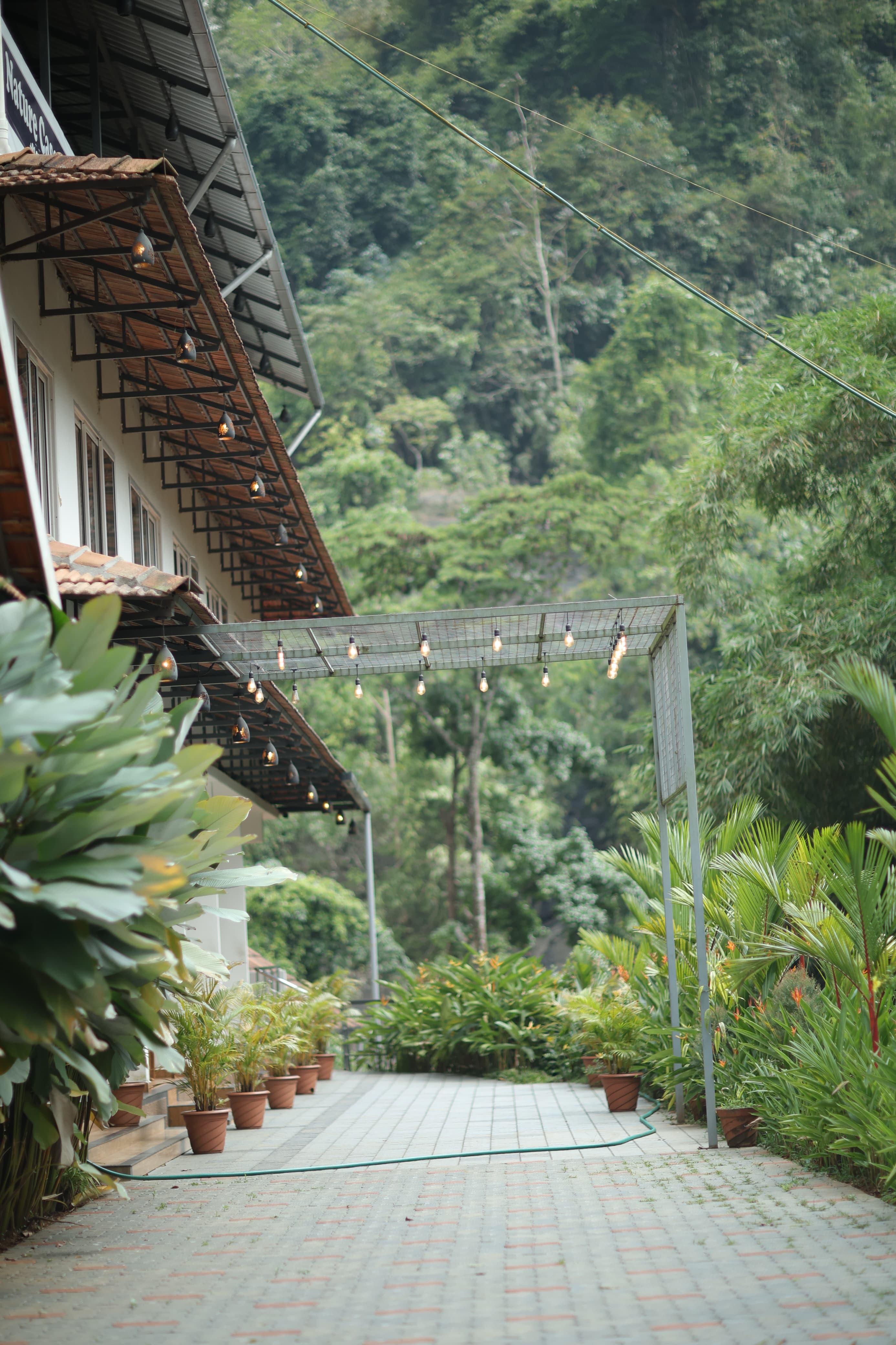 Nature Cascade Resort x Solis Nature