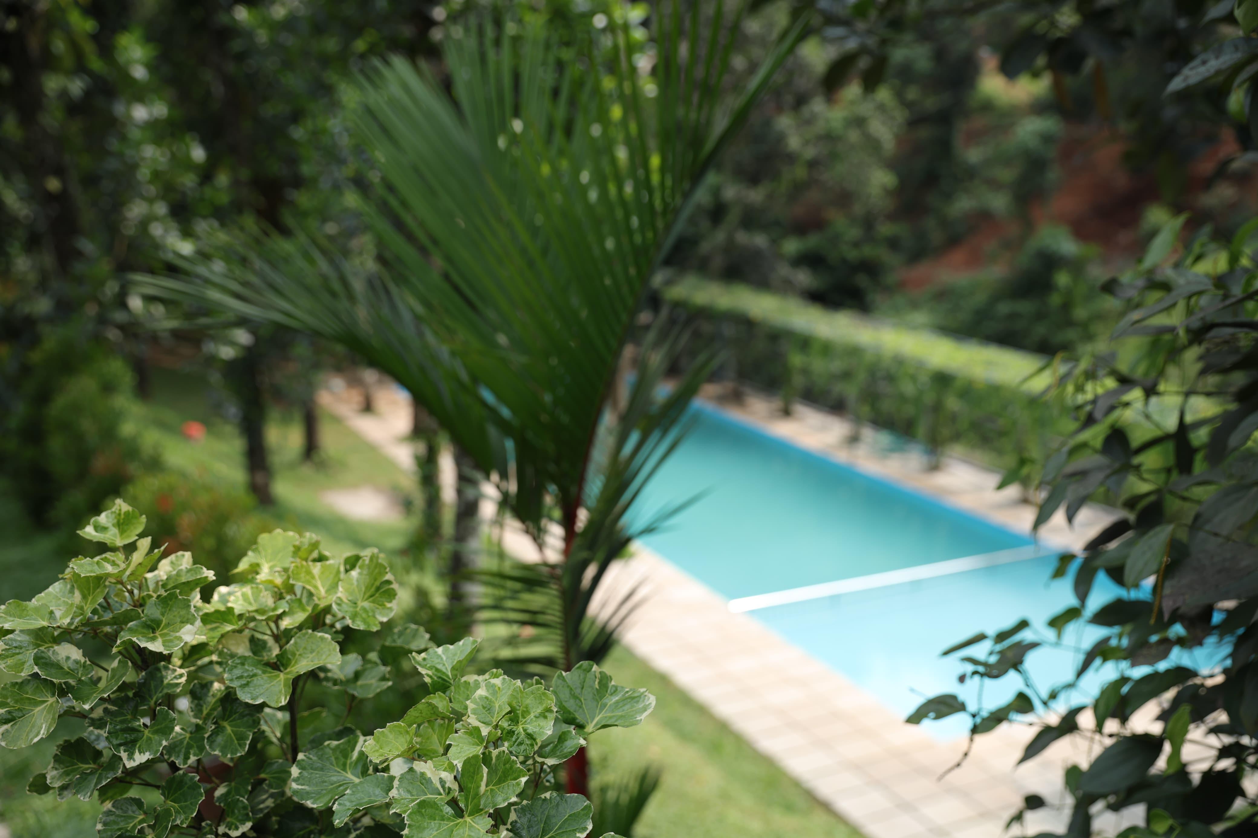 Nature Cascade Resort x Solis Nature