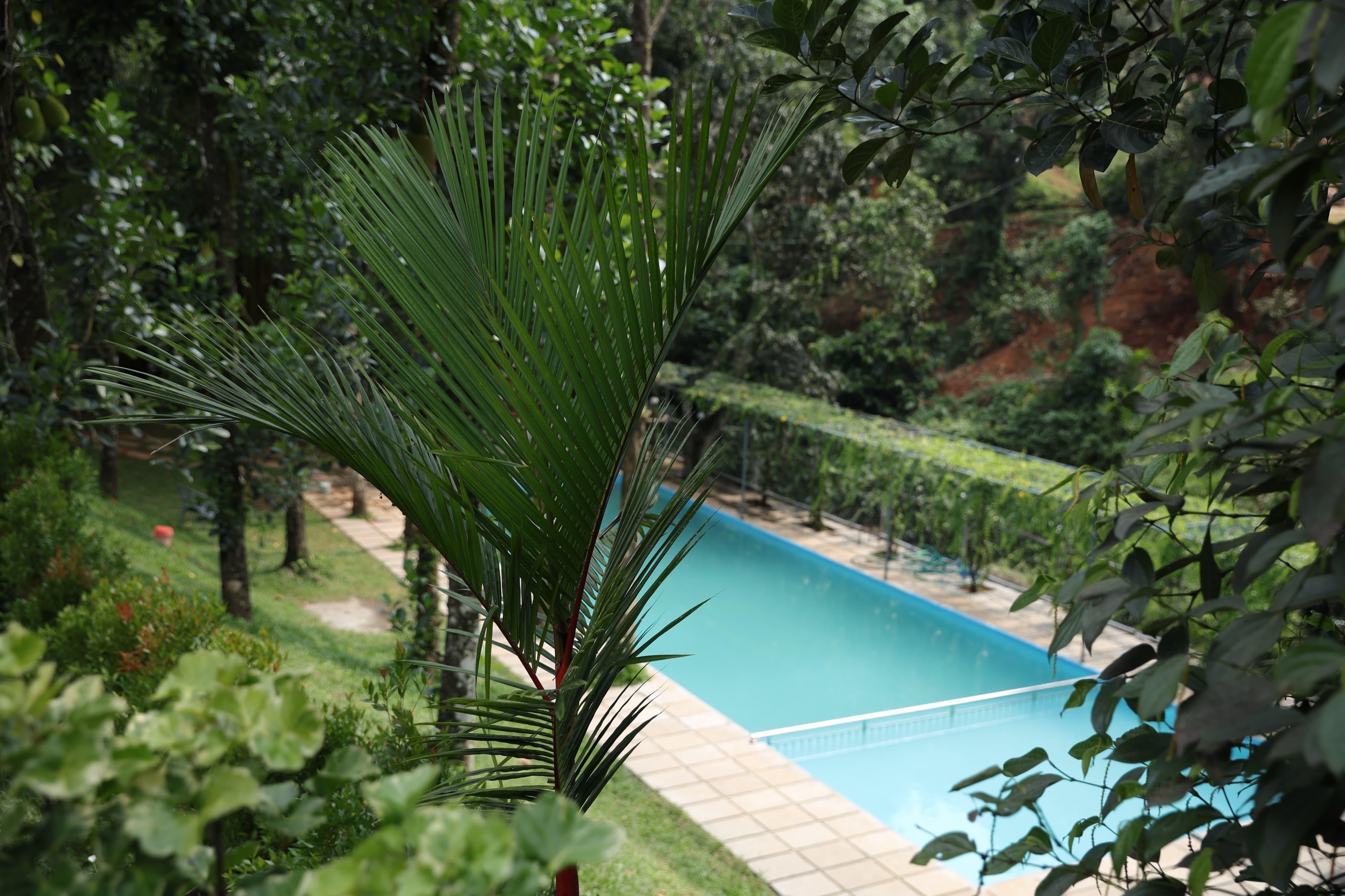 Nature Cascade Resort x Solis Nature