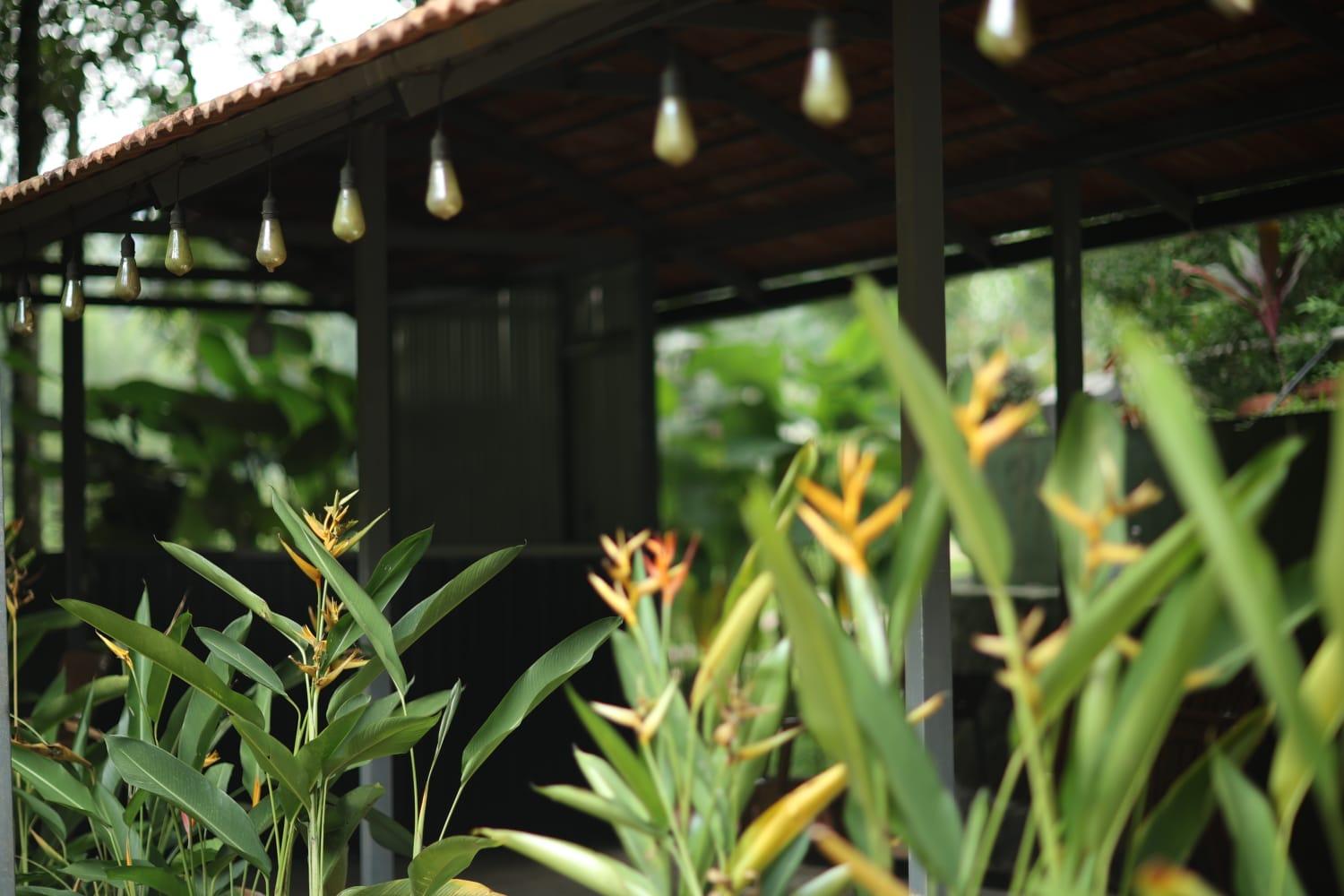 Nature Cascade Resort x Solis Nature