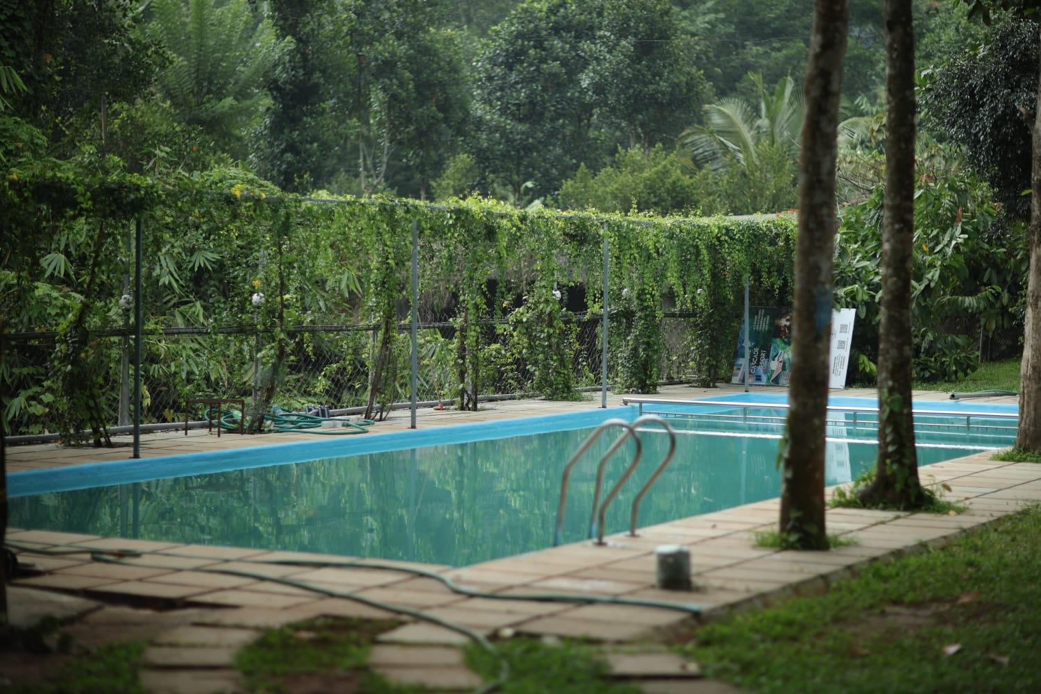 Nature Cascade Resort x Solis Nature