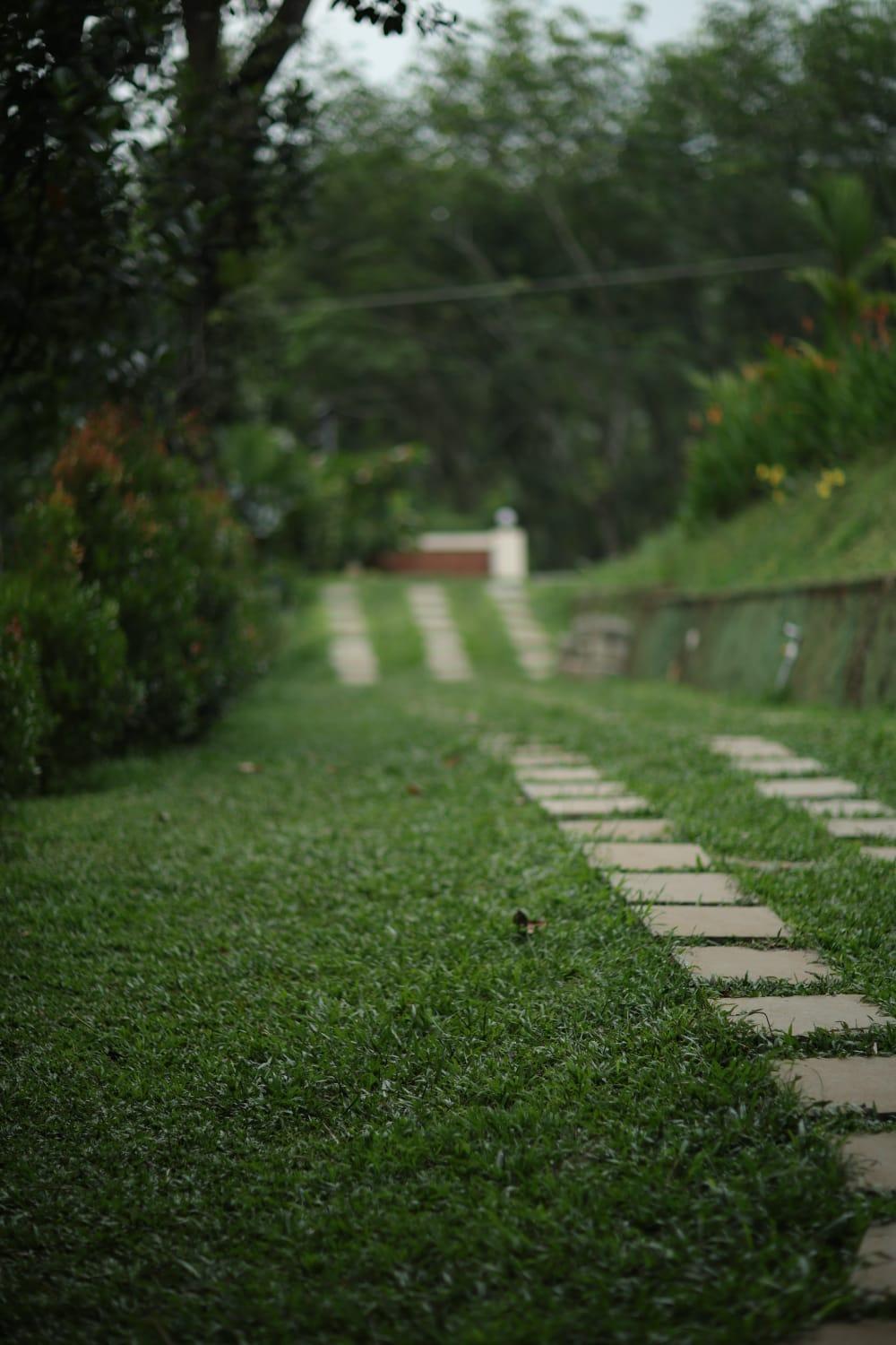 Nature Cascade Resort x Solis Nature