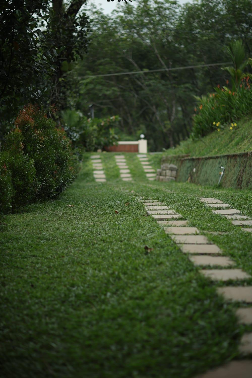 Nature Cascade Resort x Solis Nature