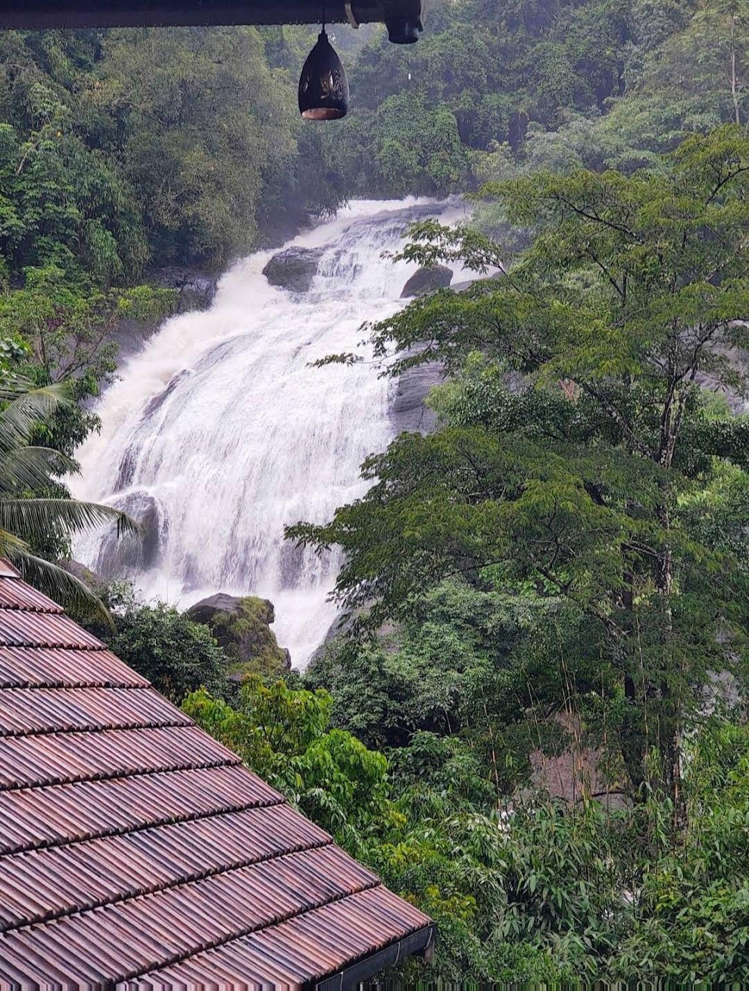 Nature Cascade Resort x Solis Nature